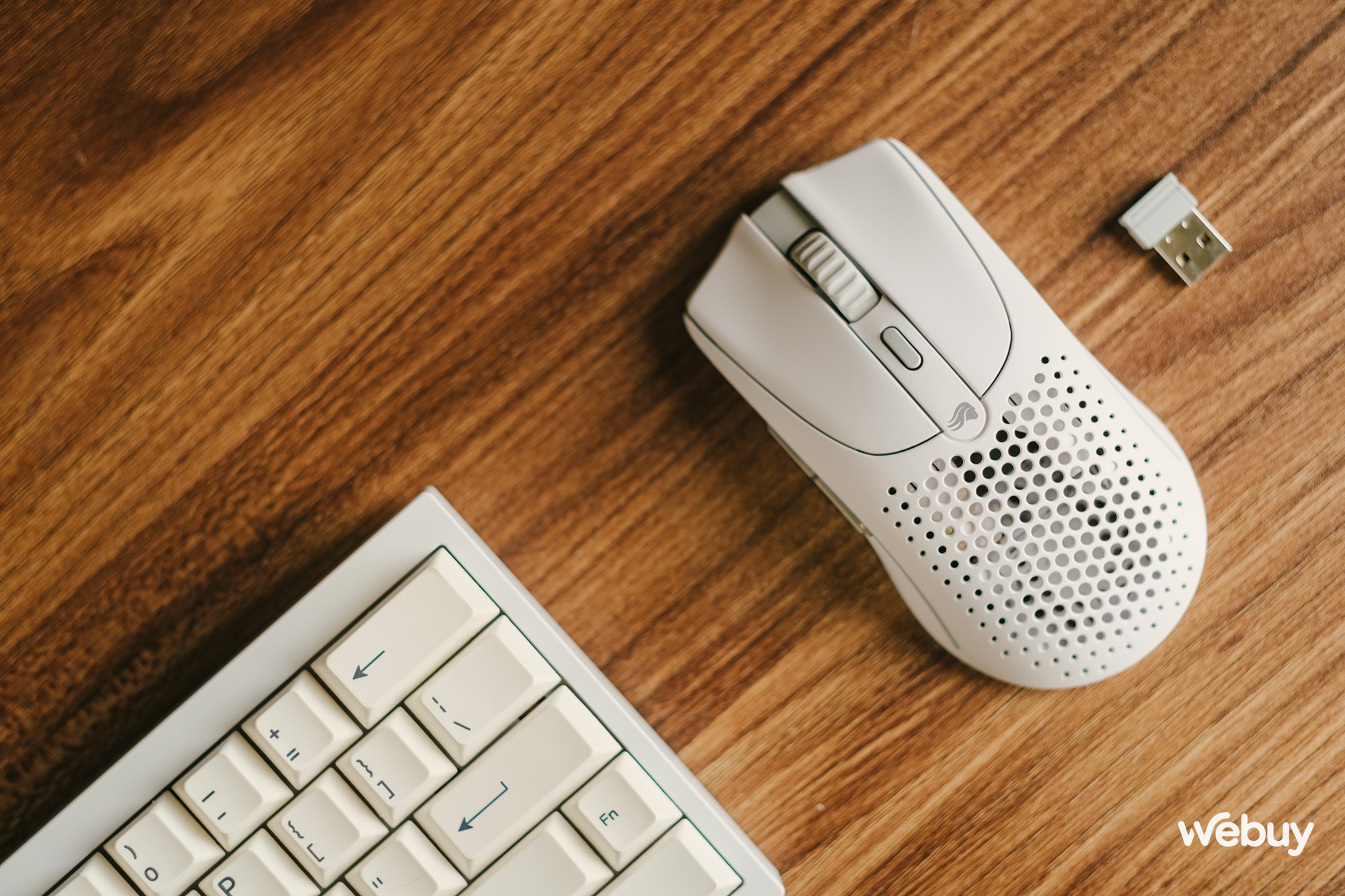 Đây là Glorious Model O 2: Chuột không dây cao cấp siêu nhẹ, cảm biến thế hệ mới, tích hợp Bluetooth, pin 210 giờ, giá 2,86 triệu đồng - Ảnh 3. Đây là Glorious Model O 2: Chuột không dây cao cấp siêu nhẹ, cảm biến thế hệ mới, tích hợp Bluetooth, pin 210 giờ, giá 2,86 triệu đồng - Ảnh 3.