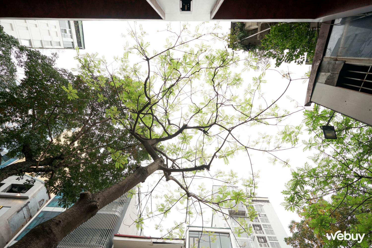 Trải nghiệm ống kính Sigma 17mm f4 và 23mm f1.4 mới: Bộ đôi góc rộng đa năng cho cả máy full frame và crop - Ảnh 10. Trải nghiệm ống kính Sigma 17mm f4 và 23mm f1.4 mới: Bộ đôi góc rộng đa năng cho cả máy full frame và crop - Ảnh 10.