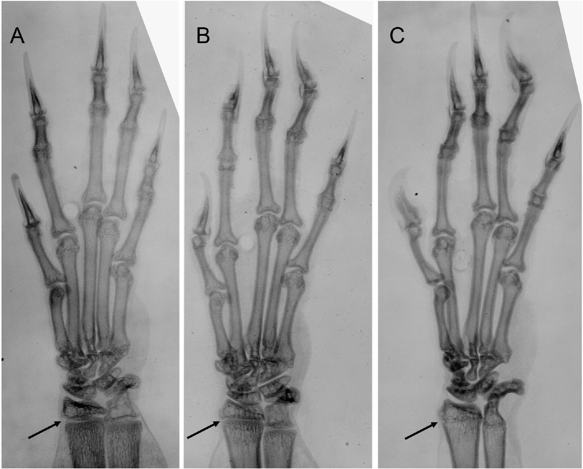 Lo&agrave;i người mất hai triệu năm để x&acirc;y dựng nền văn minh c&oacute; UX/UI th&acirc;n thiện với b&agrave;n tay: Điều g&igrave; sẽ xảy ra nếu robot AI cũng c&oacute; ch&uacute;ng? - Ảnh 14.