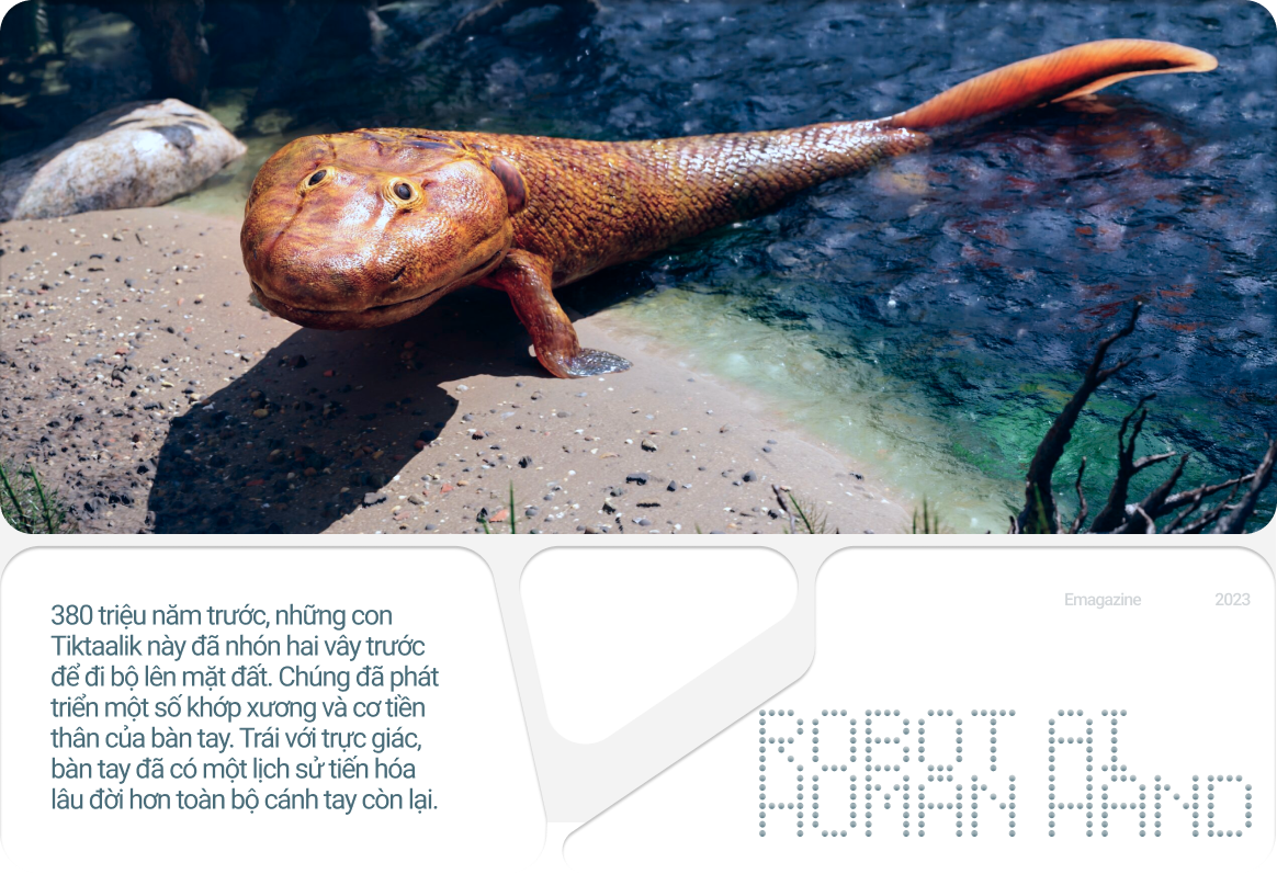 Lo&agrave;i người mất hai triệu năm để x&acirc;y dựng nền văn minh c&oacute; UX/UI th&acirc;n thiện với b&agrave;n tay: Điều g&igrave; sẽ xảy ra nếu robot AI cũng c&oacute; ch&uacute;ng? - Ảnh 13.