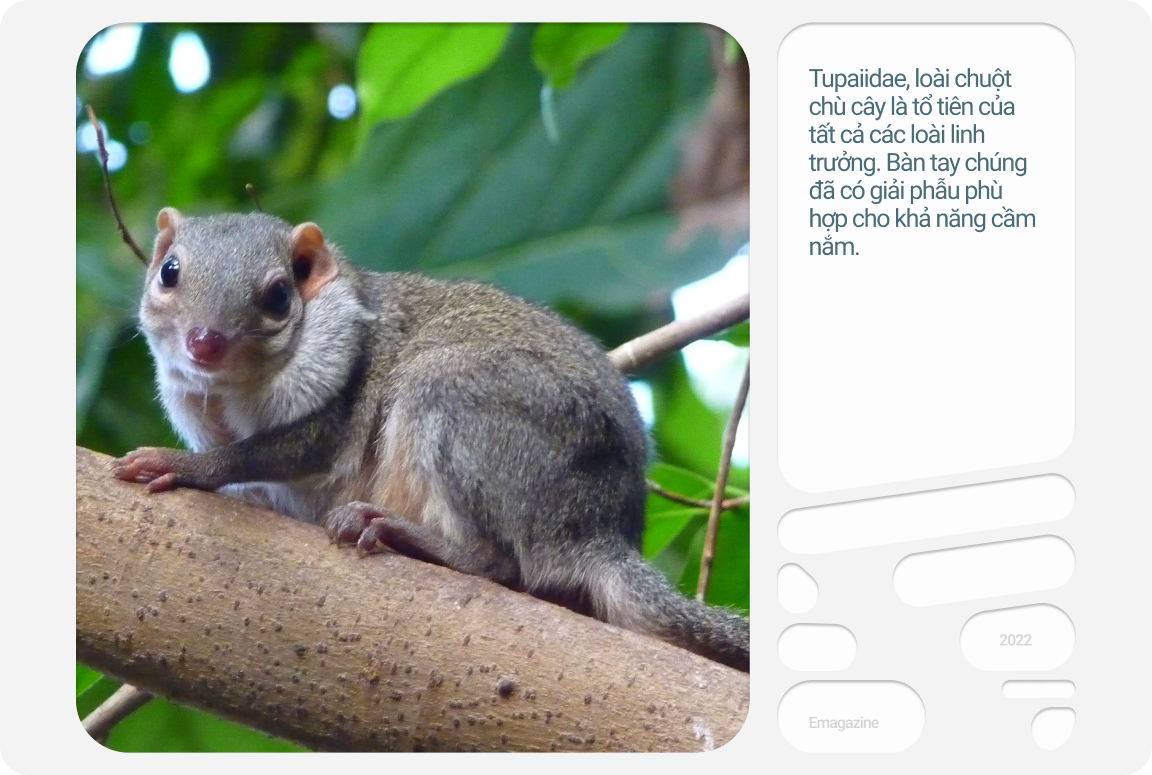 Lo&agrave;i người mất hai triệu năm để x&acirc;y dựng nền văn minh c&oacute; UX/UI th&acirc;n thiện với b&agrave;n tay: Điều g&igrave; sẽ xảy ra nếu robot AI cũng c&oacute; ch&uacute;ng? - Ảnh 15.