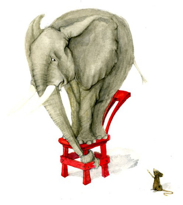 Voi có thực sự sợ chuột như lời đồn không? - Ảnh 1. Voi có thực sự sợ chuột như lời đồn không? - Ảnh 1.