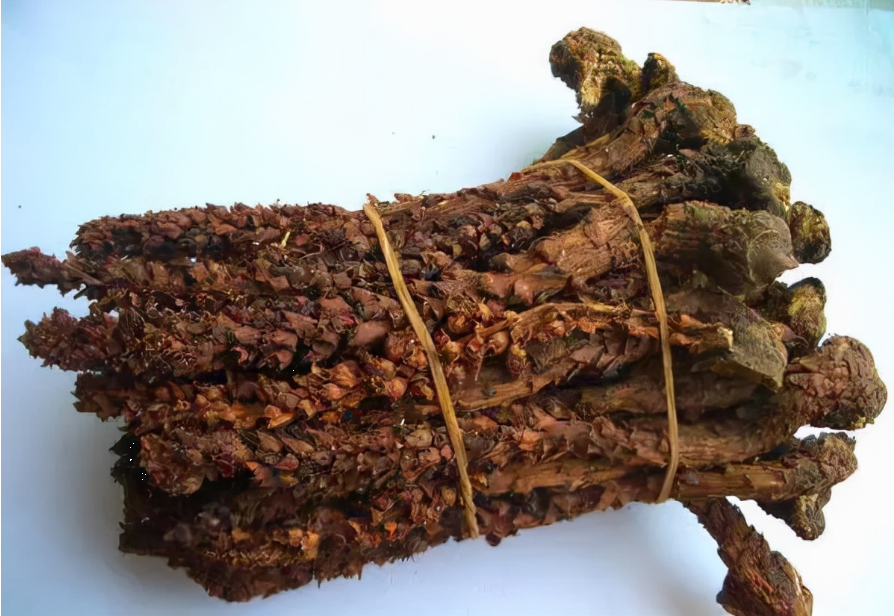 Lão nông đào đất đụng 7 "con rắn", chuyên gia: "Lập tức phong tỏa hiện trường!" - Ảnh 5. Lão nông đào đất đụng 7 "con rắn", chuyên gia: "Lập tức phong tỏa hiện trường!" - Ảnh 5.