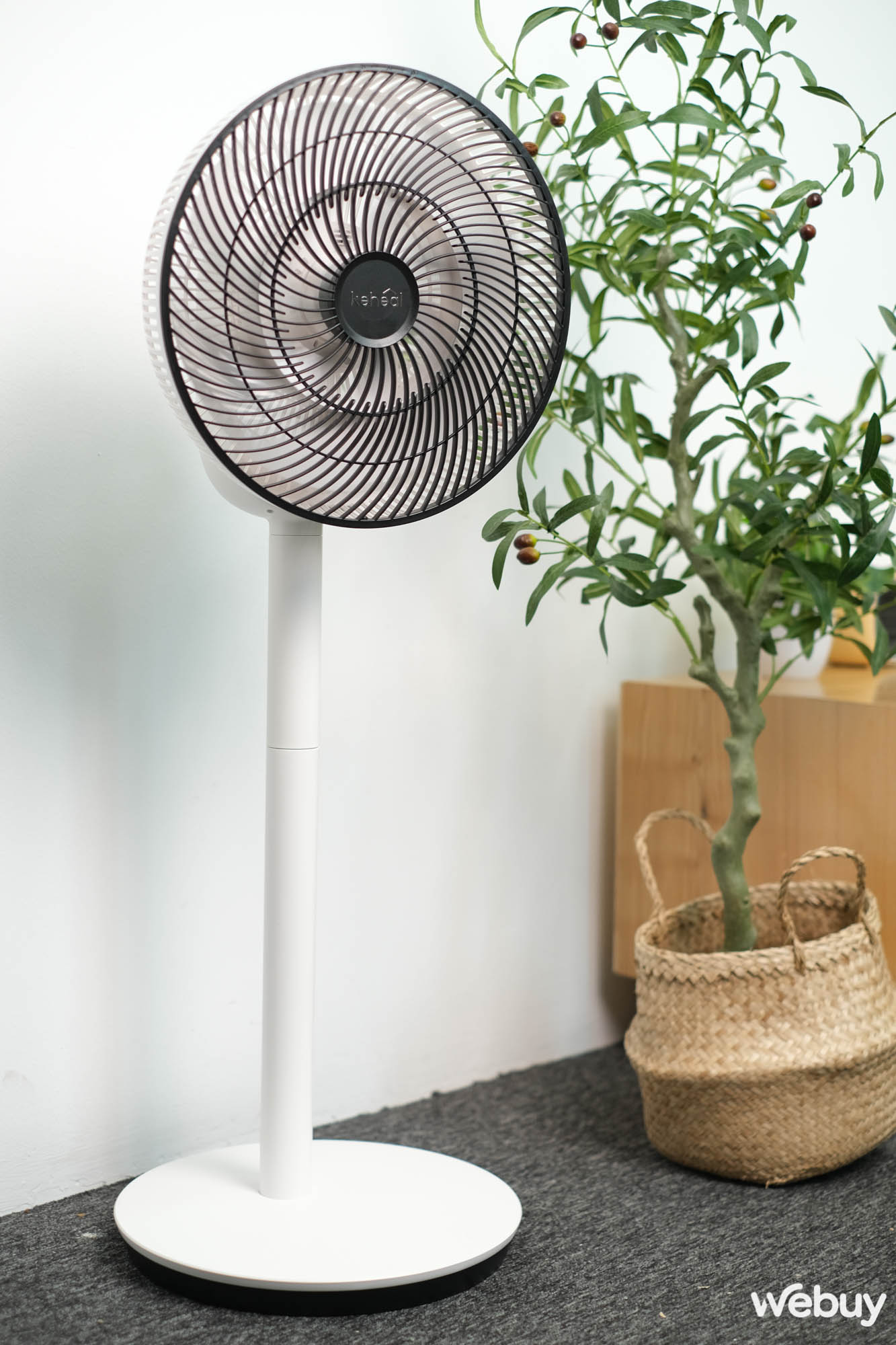 Trên tay quạt tích điện Xiaomi Keheal F4: Tất cả đều hoàn hảo, ngoại trừ một yếu tố - Ảnh 14. Trên tay quạt tích điện Xiaomi Keheal F4: Tất cả đều hoàn hảo, ngoại trừ một yếu tố - Ảnh 14.