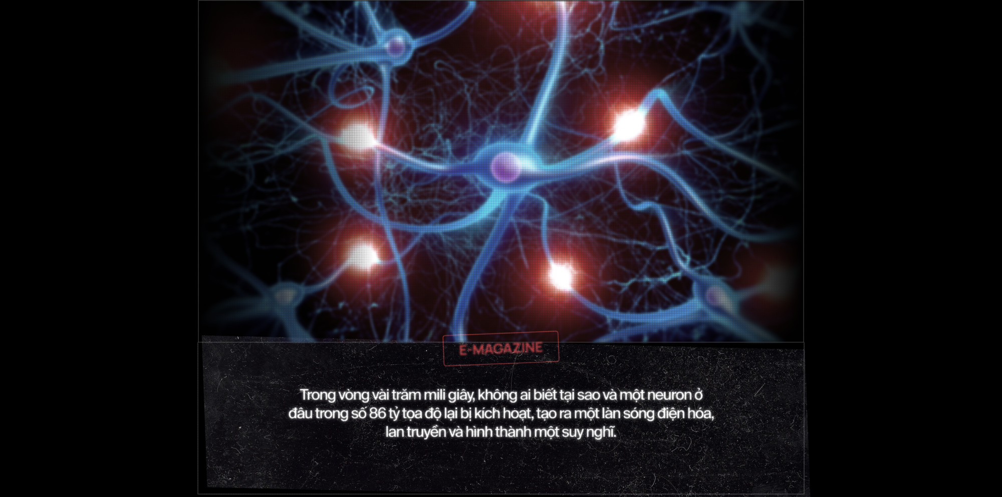 120 năm giấc mơ về một cỗ m&aacute;y đọc suy nghĩ, v&agrave; b&acirc;y giờ, ch&uacute;ng đ&atilde; ở đ&acirc;y - Ảnh 13.