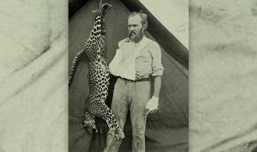 Một người đàn ông trưởng thành có thể dùng tay không đánh bại chó sói không? - Ảnh 5. Một người đàn ông trưởng thành có thể dùng tay không đánh bại chó sói không? - Ảnh 5.