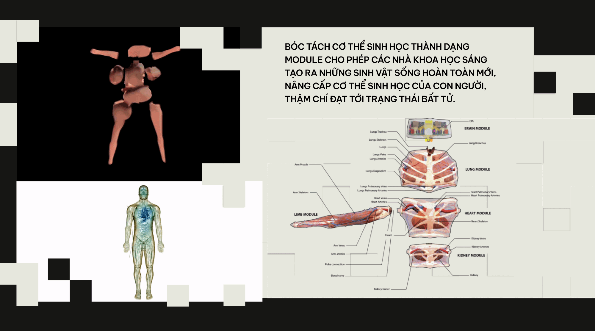 Khi c&aacute;c nh&agrave; khoa học đ&oacute;ng vai Ch&uacute;a Trời: Họ đ&atilde; tạo ra những sinh vật chưa từng tồn tại tr&ecirc;n Tr&aacute;i Đất- Ảnh 12.