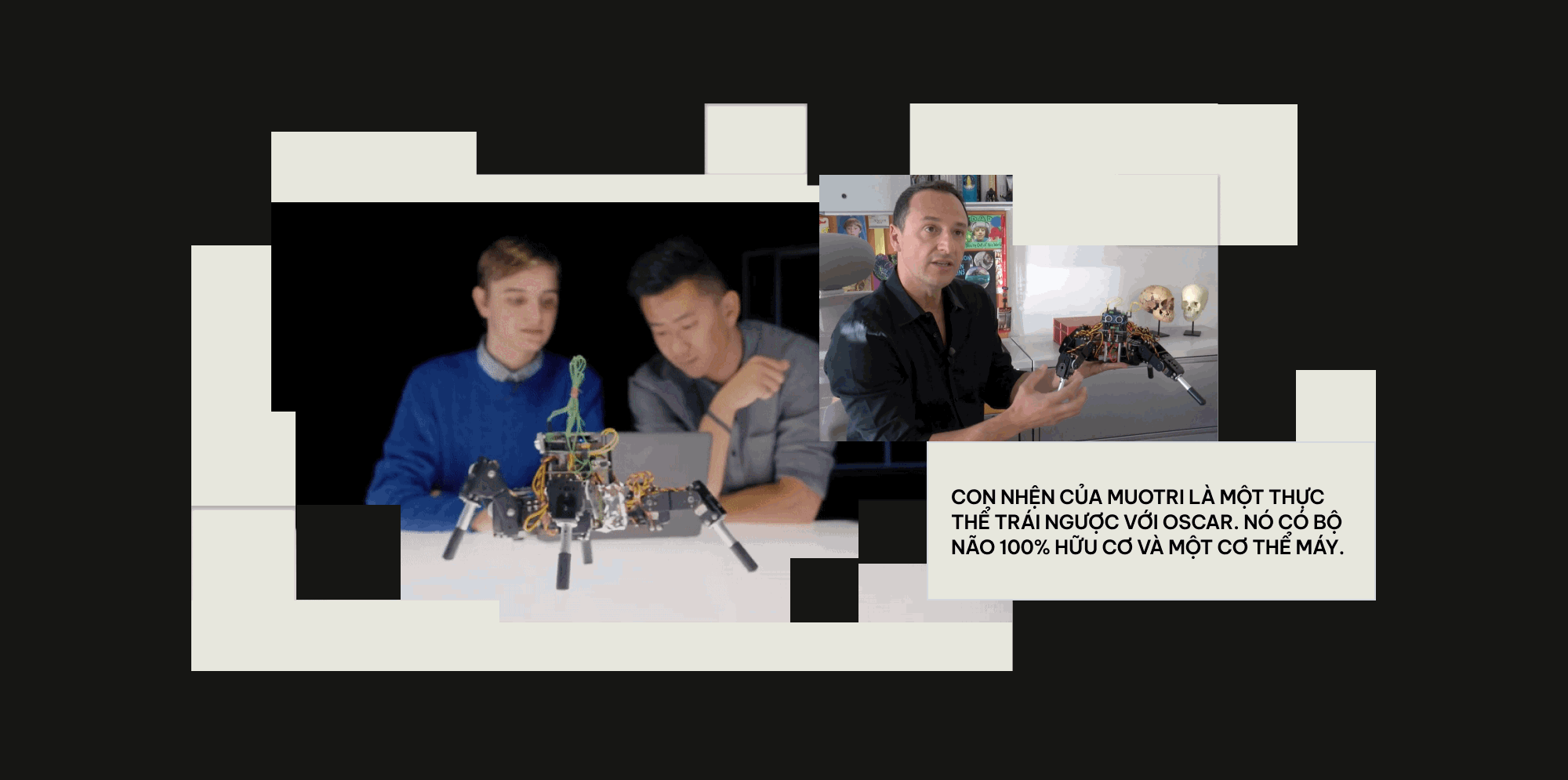 Khi c&aacute;c nh&agrave; khoa học đ&oacute;ng vai Ch&uacute;a Trời: Họ đ&atilde; tạo ra những sinh vật chưa từng tồn tại tr&ecirc;n Tr&aacute;i Đất- Ảnh 21.