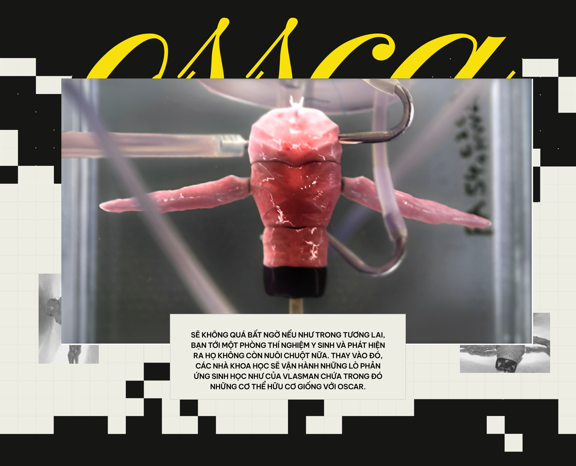 Khi c&aacute;c nh&agrave; khoa học đ&oacute;ng vai Ch&uacute;a Trời: Họ đ&atilde; tạo ra những sinh vật chưa từng tồn tại tr&ecirc;n Tr&aacute;i Đất- Ảnh 18.