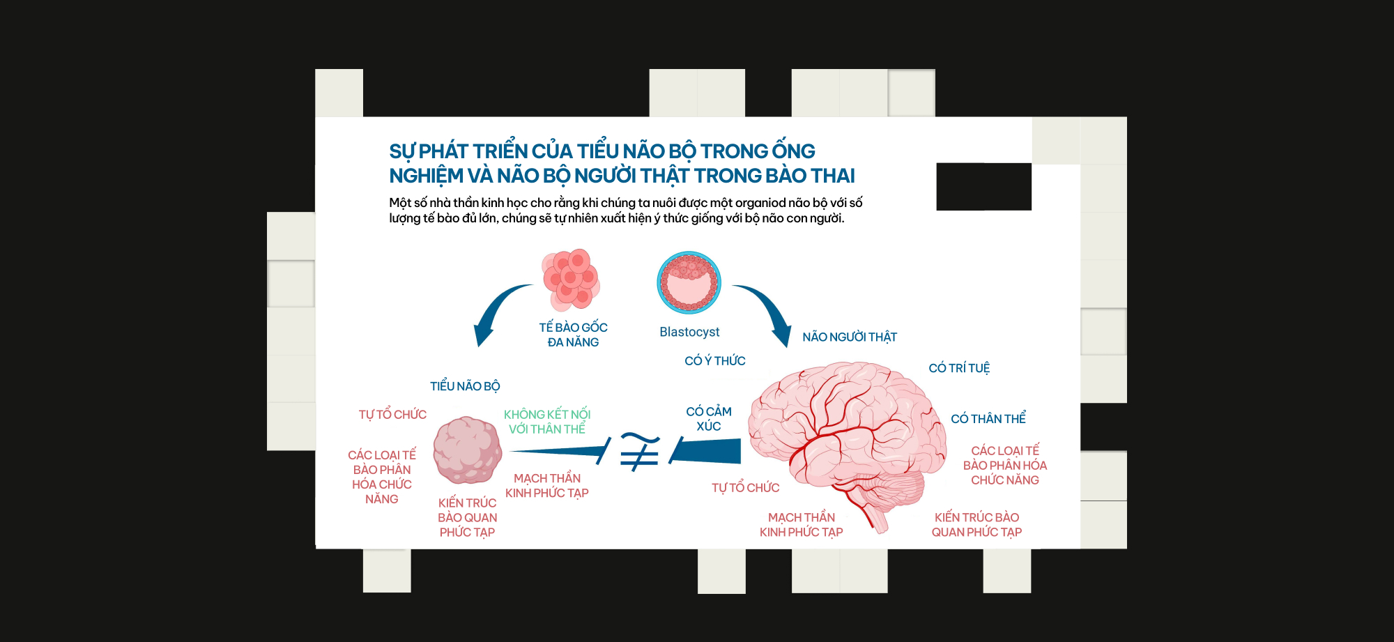Khi c&aacute;c nh&agrave; khoa học đ&oacute;ng vai Ch&uacute;a Trời: Họ đ&atilde; tạo ra những sinh vật chưa từng tồn tại tr&ecirc;n Tr&aacute;i Đất- Ảnh 19.