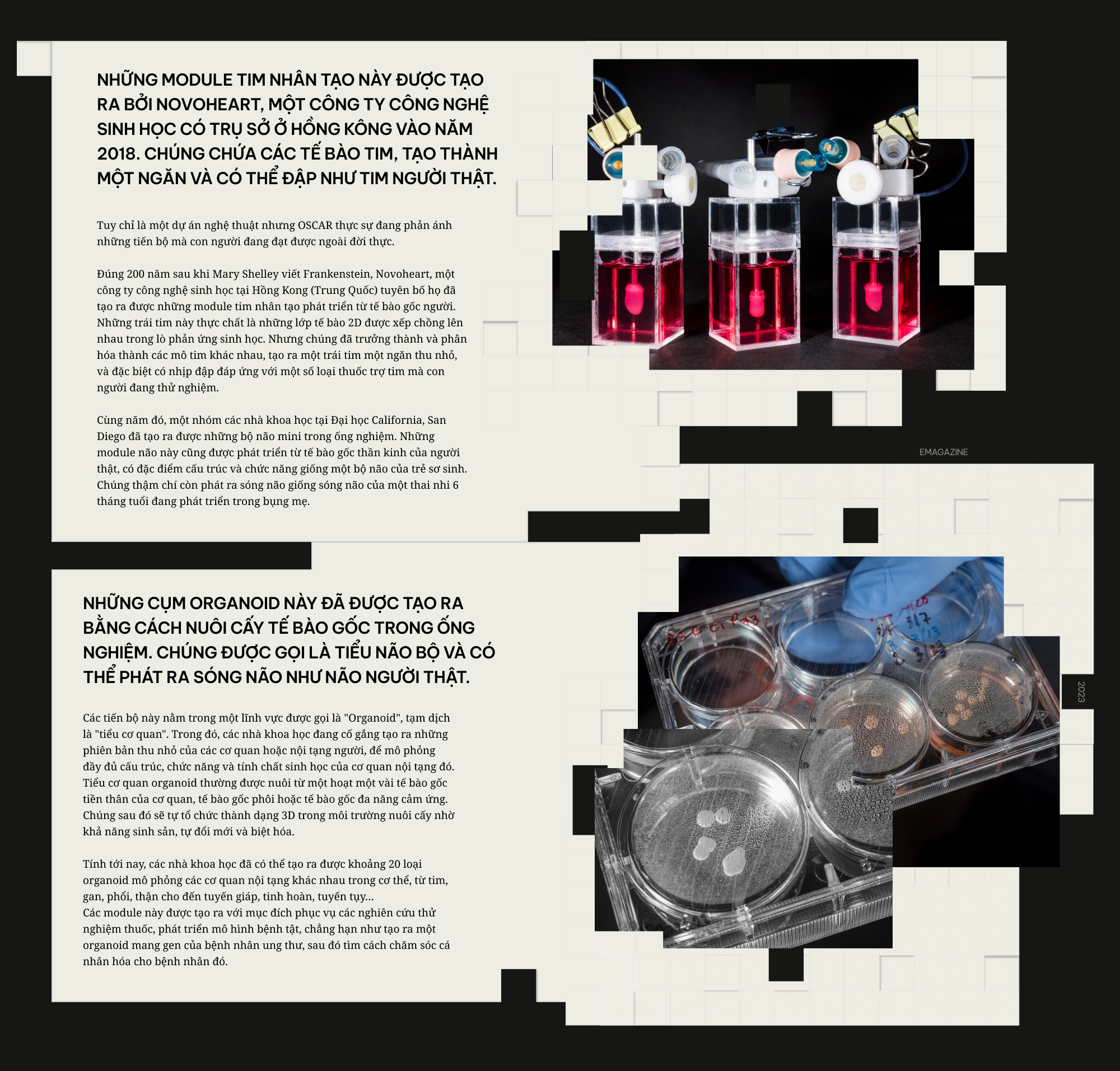 Khi c&aacute;c nh&agrave; khoa học đ&oacute;ng vai Ch&uacute;a Trời: Họ đ&atilde; tạo ra những sinh vật chưa từng tồn tại tr&ecirc;n Tr&aacute;i Đất- Ảnh 14.