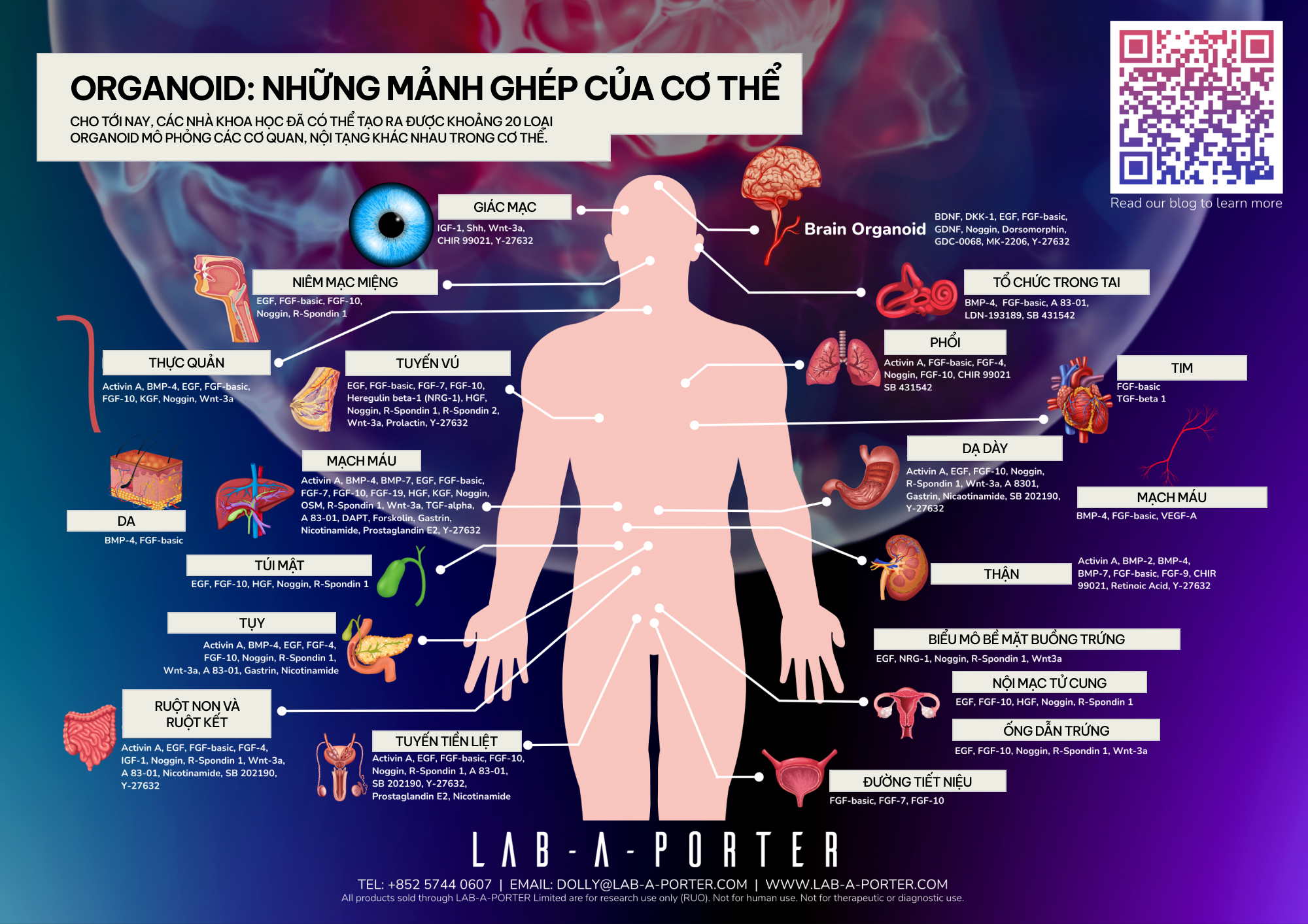 Khi c&aacute;c nh&agrave; khoa học đ&oacute;ng vai Ch&uacute;a Trời: Họ đ&atilde; tạo ra những sinh vật chưa từng tồn tại tr&ecirc;n Tr&aacute;i Đất- Ảnh 15.