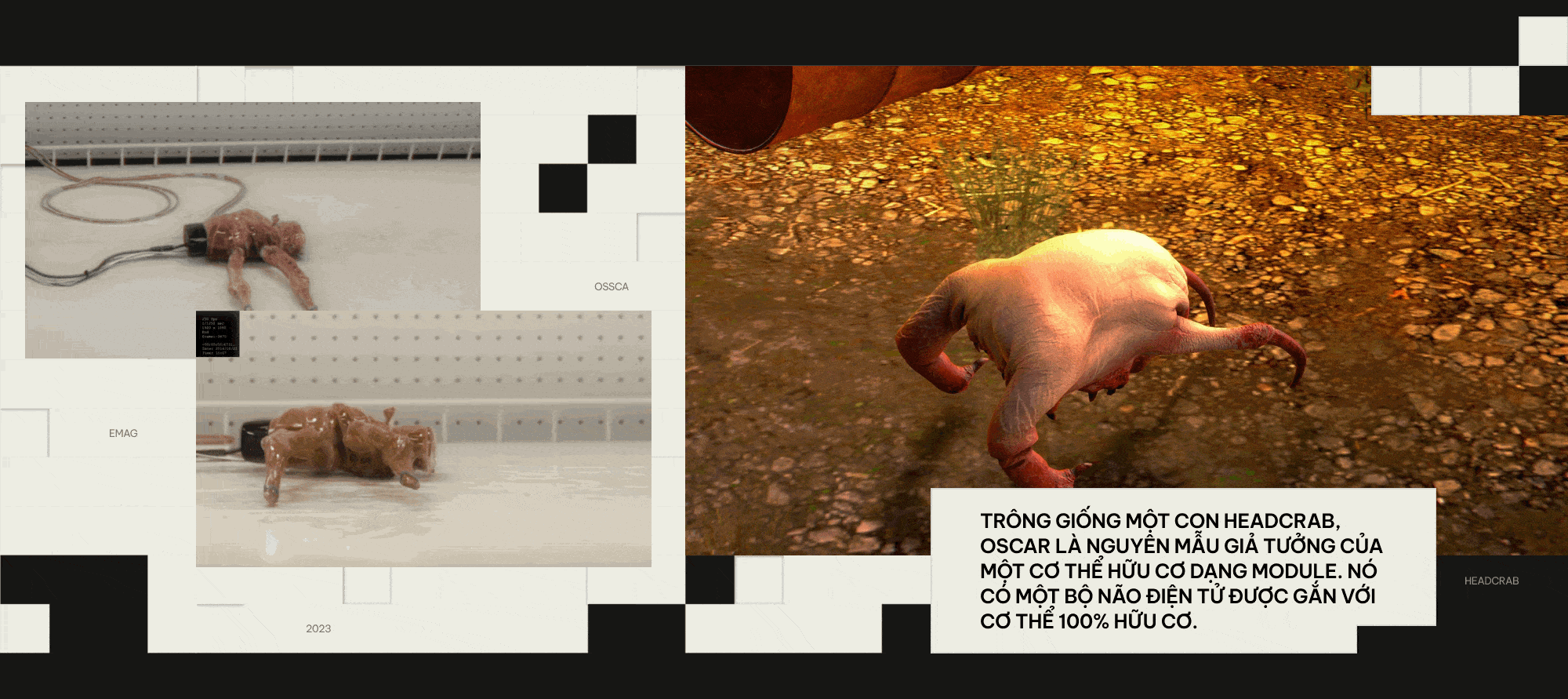 Khi c&aacute;c nh&agrave; khoa học đ&oacute;ng vai Ch&uacute;a Trời: Họ đ&atilde; tạo ra những sinh vật chưa từng tồn tại tr&ecirc;n Tr&aacute;i Đất- Ảnh 1.