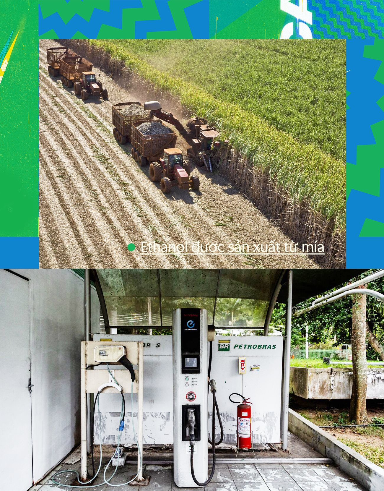 &Ocirc; t&ocirc; chạy bằng nhi&ecirc;n liệu l&agrave;m từ m&iacute;a - Cơn đau đầu của cả Brazil: Kh&ocirc;ng d&aacute;m chuyển sang đi xe điện, chấp nhận tụt hậu để cứu to&agrave;n nền kinh tế - Ảnh 7.