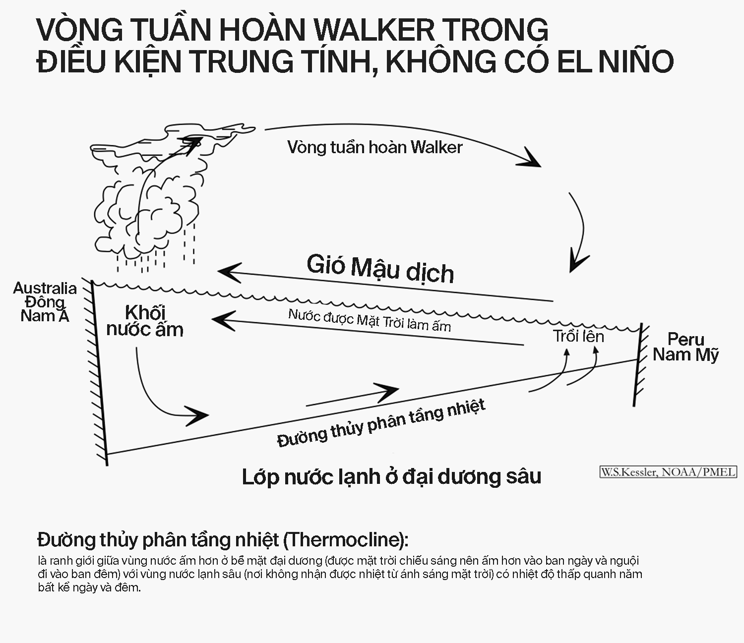 Giải m&atilde; El Ni&ntilde;o: Lịch sử, nguồn gốc v&agrave; những b&iacute; ẩn của hiệu ứng c&aacute;nh bướm hai b&ecirc;n bờ Th&aacute;i B&igrave;nh Dương - Ảnh 21.