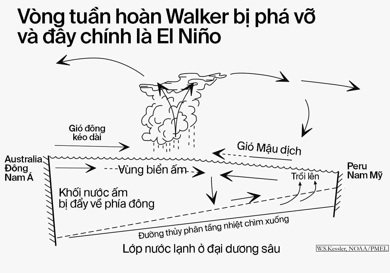 Giải m&atilde; El Ni&ntilde;o: Lịch sử, nguồn gốc v&agrave; những b&iacute; ẩn của hiệu ứng c&aacute;nh bướm hai b&ecirc;n bờ Th&aacute;i B&igrave;nh Dương - Ảnh 24.