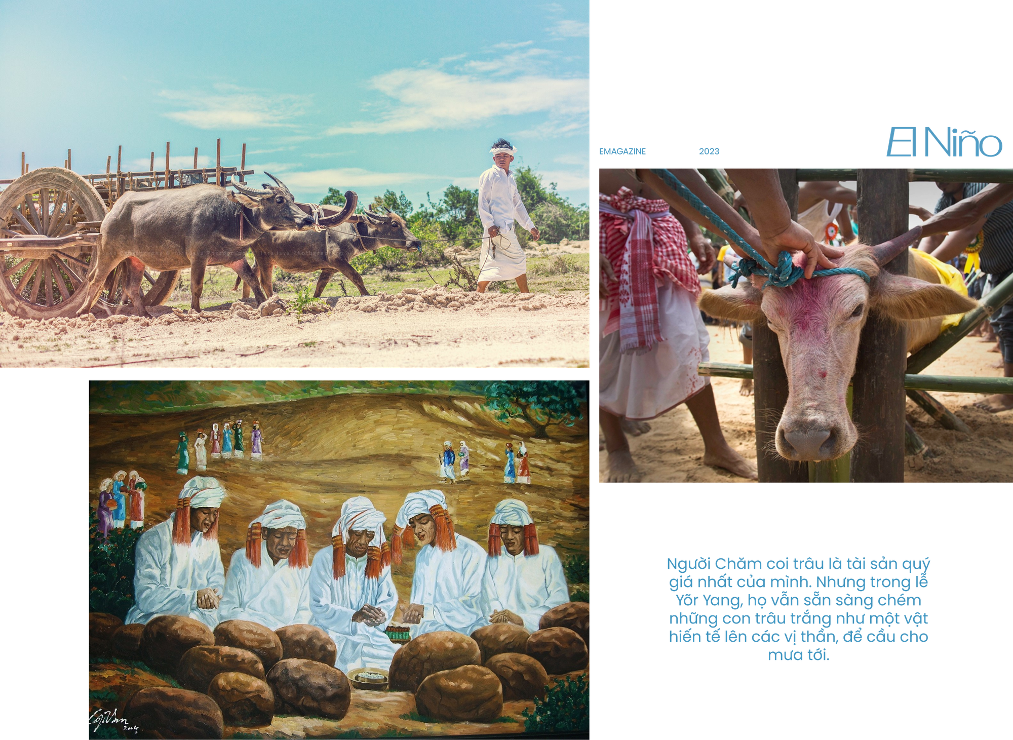 Những b&iacute; ẩn của El Ni&ntilde;o: Nguồn gốc, lịch sử v&agrave; hiệu ứng c&aacute;nh bướm hai b&ecirc;n bờ Th&aacute;i B&igrave;nh Dương - Ảnh 13.