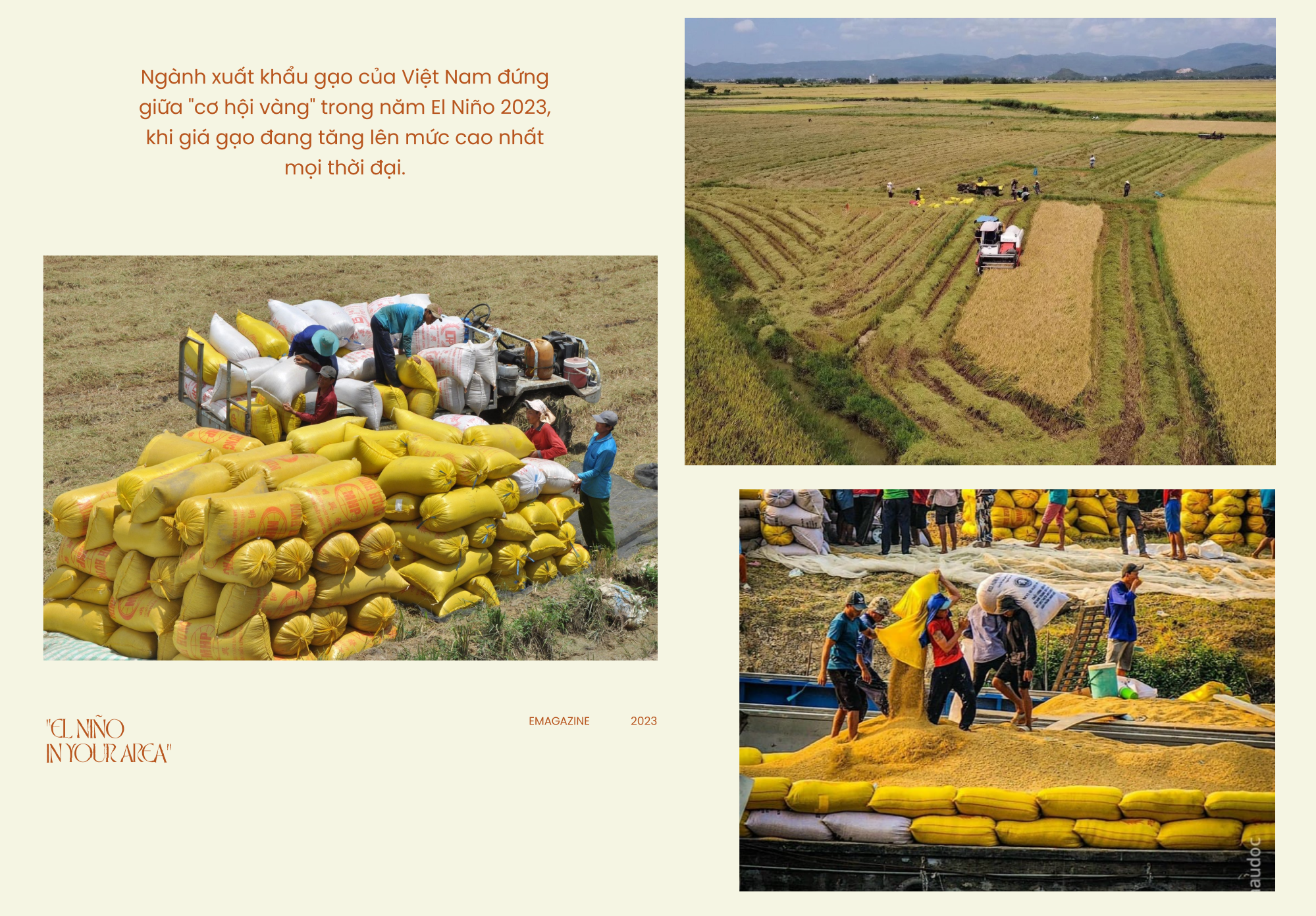 "El Niño in your area": Điều gì sắp xảy đến với Việt Nam trong năm 2023-2024? - Ảnh 24. "El Niño in your area": Điều gì sắp xảy đến với Việt Nam trong năm 2023-2024? - Ảnh 24.