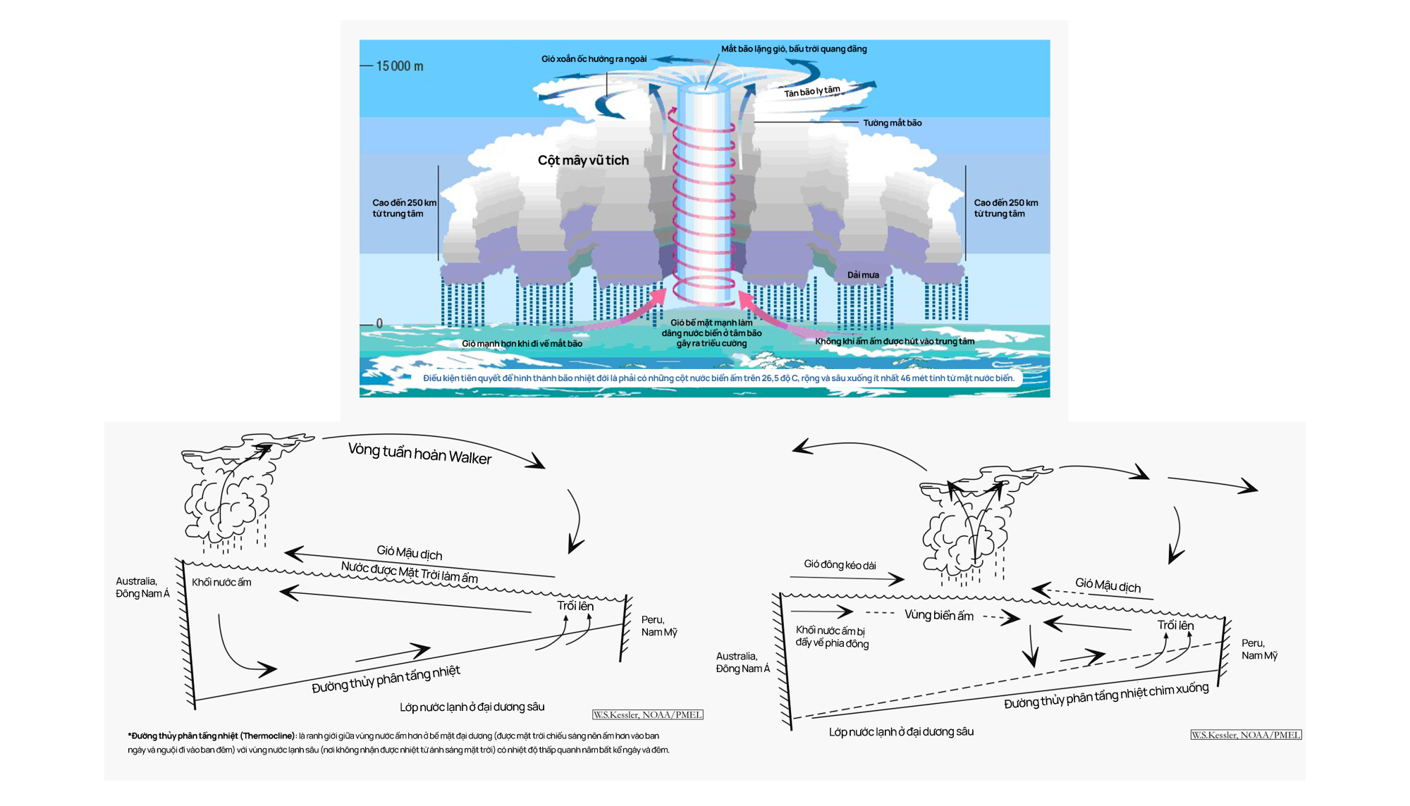 "El Niño in your area": Điều gì sắp xảy đến với Việt Nam trong năm 2023-2024? - Ảnh 12. "El Niño in your area": Điều gì sắp xảy đến với Việt Nam trong năm 2023-2024? - Ảnh 12.