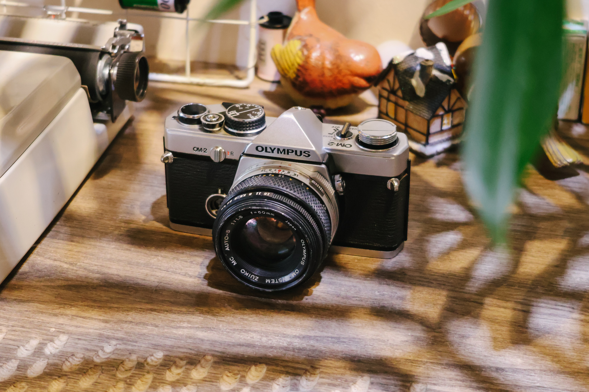 Trên tay máy ảnh Canon R50: Nhỏ gọn và thân thiện với người mới học chụp - Ảnh 17. Trên tay máy ảnh Canon R50: Nhỏ gọn và thân thiện với người mới học chụp - Ảnh 17.