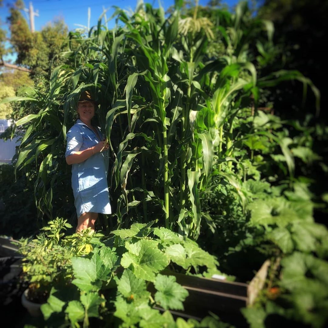 Khu vườn ngoại ô đầy nắng và rau quả sạch của gia đình hai vợ chồng cùng 5 người con - Ảnh 1. Khu vườn ngoại ô đầy nắng và rau quả sạch của gia đình hai vợ chồng cùng 5 người con - Ảnh 1.