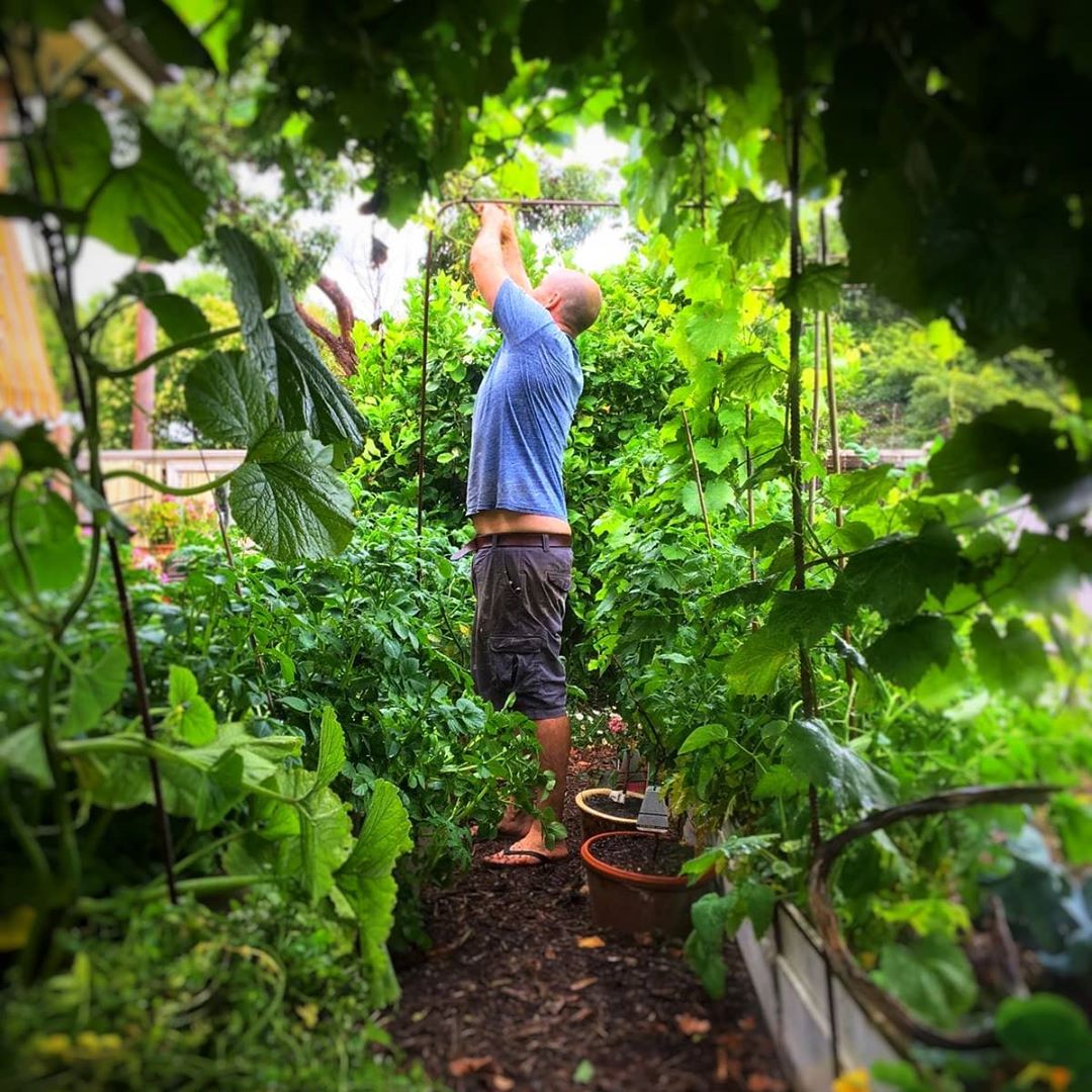 Ngôi nhà nhỏ với khu vườn đầy nắng của gia đình 7 người ở ngoại ô thành phố - Ảnh 5. Ngôi nhà nhỏ với khu vườn đầy nắng của gia đình 7 người ở ngoại ô thành phố - Ảnh 5.