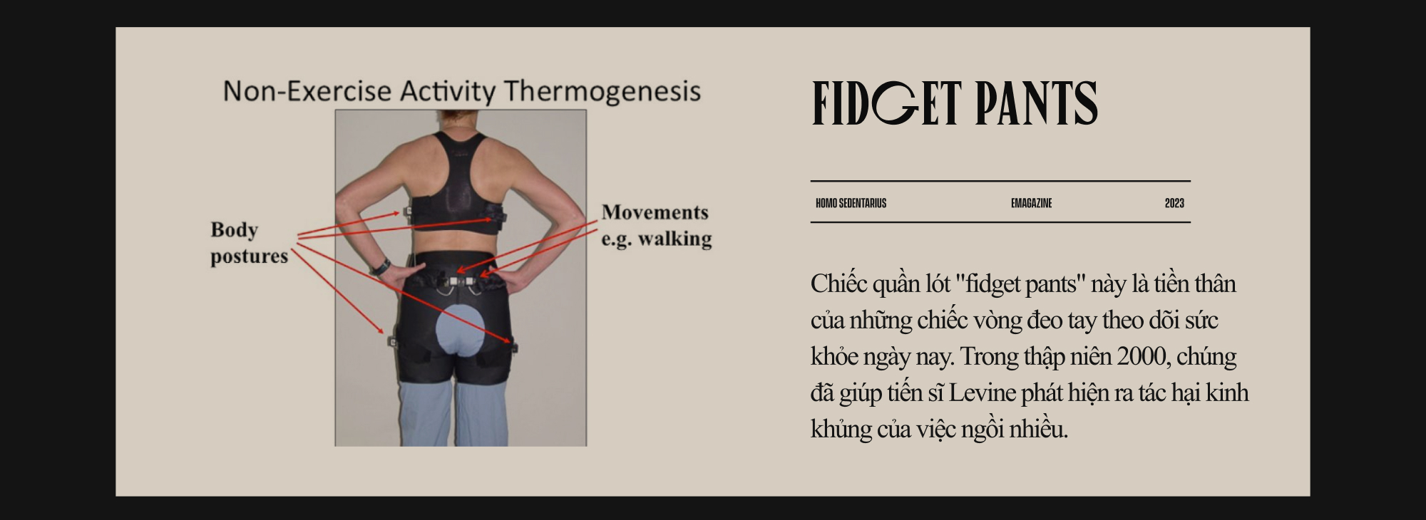 Homo sedentarius: Lược sử "loài ngồi" - Ảnh 17. Homo sedentarius: Lược sử "loài ngồi" - Ảnh 17.