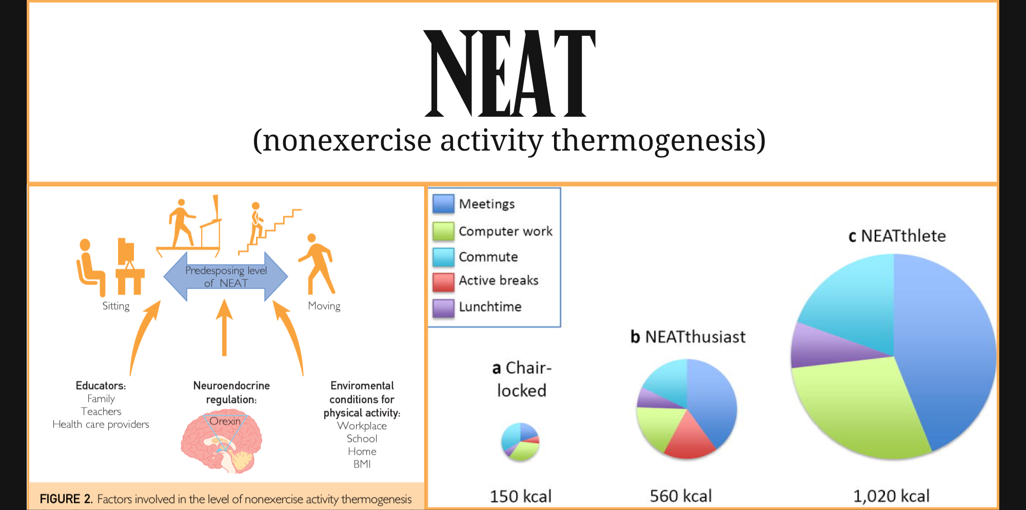 Homo sedentarius: Lược sử "loài ngồi" - Ảnh 22. Homo sedentarius: Lược sử "loài ngồi" - Ảnh 22.