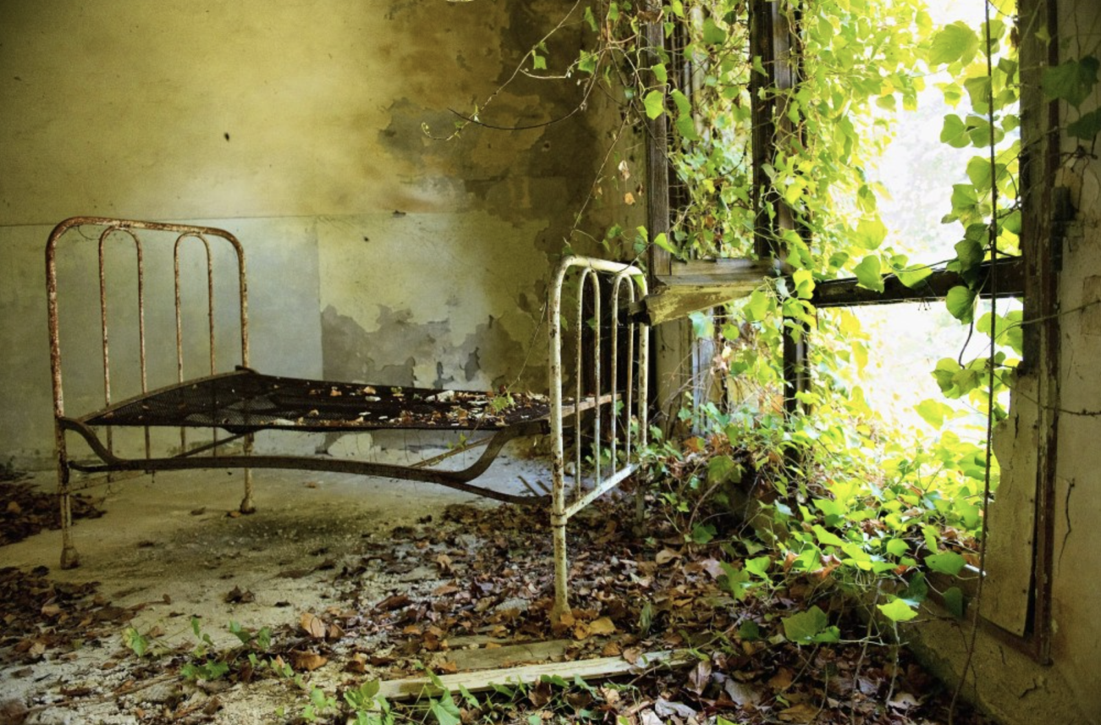 Khám phá 'hòn đảo ma' bí ẩn từng chôn cất 160.000 thi thể - Ảnh 3. Khám phá 'hòn đảo ma' bí ẩn từng chôn cất 160.000 thi thể - Ảnh 3.