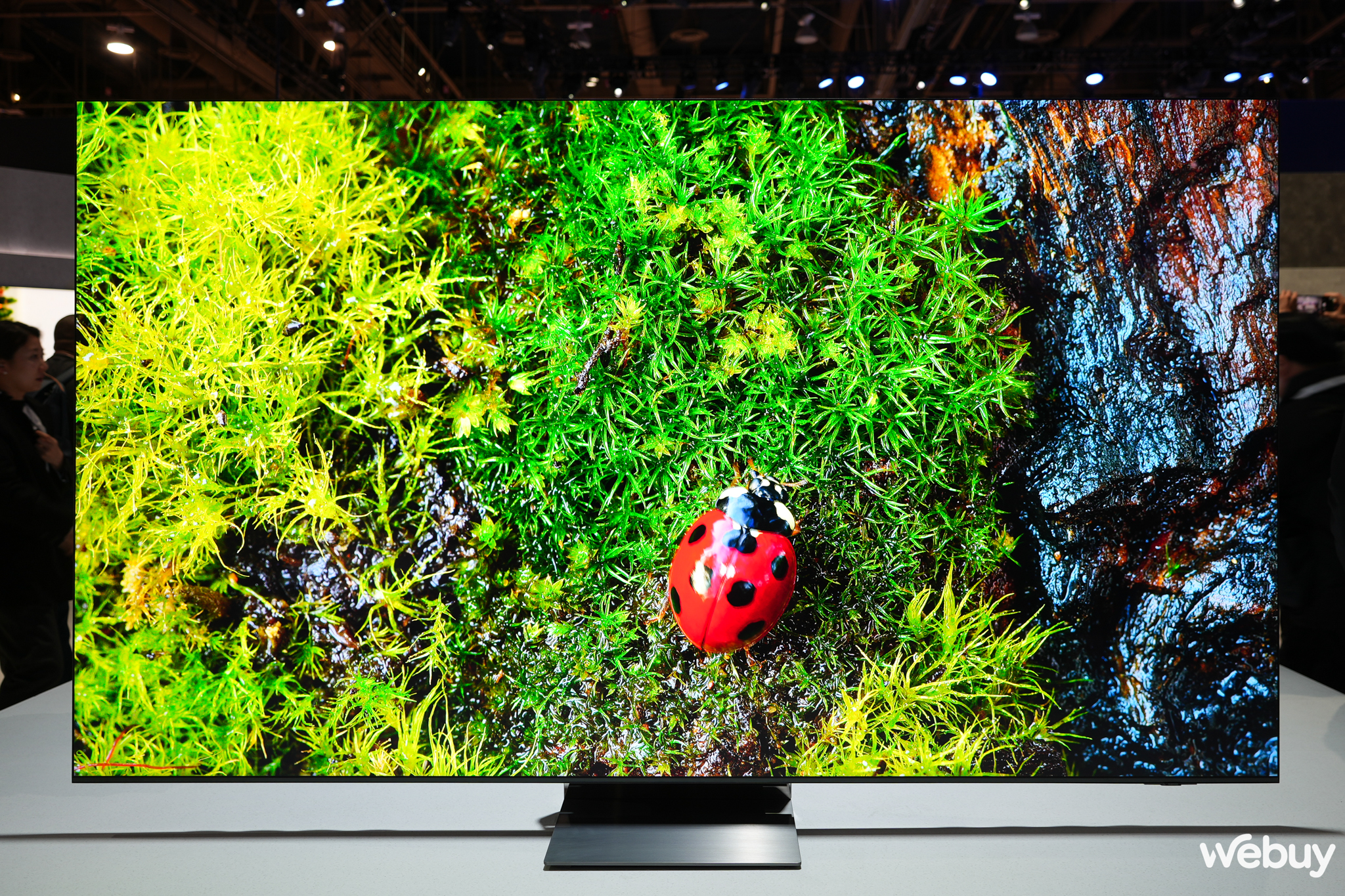 Cận cảnh loạt TV Samsung mới tại CES 2024: Thiết kế ấn tượng, h&igrave;nh &acirc;m đẳng cấp, đặc biệt cho&aacute;ng ngợp với mẫu MICRO LED trong suốt- Ảnh 7.