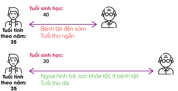Mỗi năm sống trong thành phố khiến bạn già đi 410 ngày tuổi: 'Lỗ hổng thời gian' và sự lão hóa của tế bào dưới những khoảng trời bê tông- Ảnh 10. Mỗi năm sống trong thành phố khiến bạn già đi 410 ngày tuổi: 'Lỗ hổng thời gian' và sự lão hóa của tế bào dưới những khoảng trời bê tông- Ảnh 10.