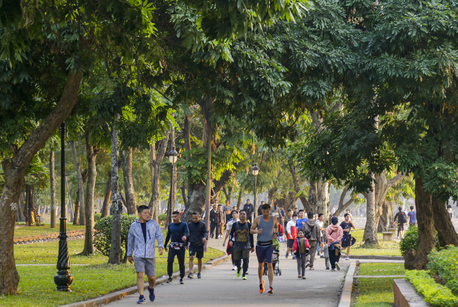 Mỗi năm sống trong thành phố khiến bạn già đi 410 ngày tuổi: 'Lỗ hổng thời gian' và sự lão hóa của tế bào dưới những khoảng trời bê tông- Ảnh 15. Mỗi năm sống trong thành phố khiến bạn già đi 410 ngày tuổi: 'Lỗ hổng thời gian' và sự lão hóa của tế bào dưới những khoảng trời bê tông- Ảnh 15.