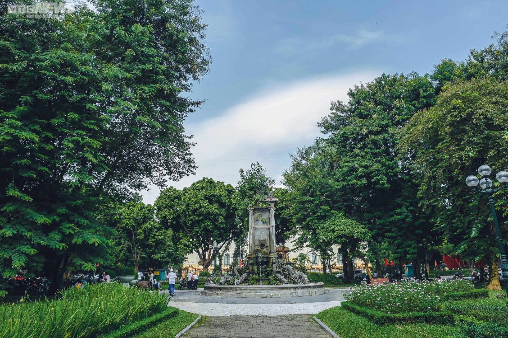 Mỗi năm sống trong thành phố khiến bạn già đi 410 ngày tuổi: 'Lỗ hổng thời gian' và sự lão hóa của tế bào dưới những khoảng trời bê tông- Ảnh 21. Mỗi năm sống trong thành phố khiến bạn già đi 410 ngày tuổi: 'Lỗ hổng thời gian' và sự lão hóa của tế bào dưới những khoảng trời bê tông- Ảnh 21.