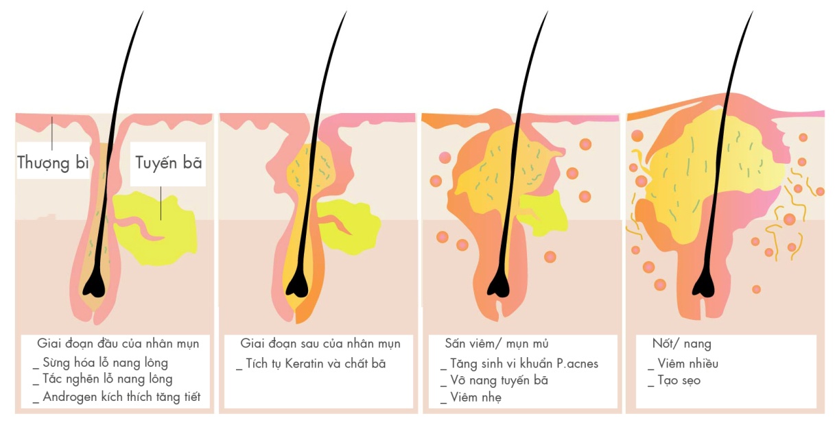 Nhà khoa học này muốn bắt vi khuẩn trên mặt bạn, biến đổi gen chúng rồi thả về chỗ cũ: Thoạt nghe tưởng cô ấy bị rảnh, nhưng hiểu lý do thì ai cũng trầm trồ- Ảnh 8. Nhà khoa học này muốn bắt vi khuẩn trên mặt bạn, biến đổi gen chúng rồi thả về chỗ cũ: Thoạt nghe tưởng cô ấy bị rảnh, nhưng hiểu lý do thì ai cũng trầm trồ- Ảnh 8.