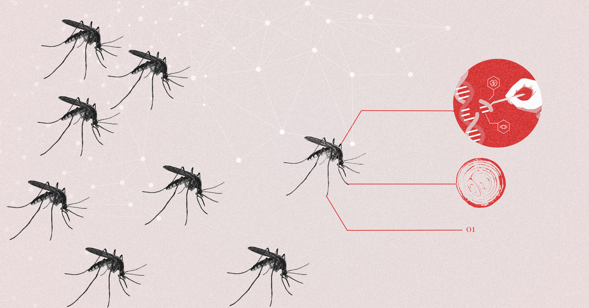 Nhà khoa học này muốn bắt vi khuẩn trên mặt bạn, biến đổi gen chúng rồi thả về chỗ cũ: Thoạt nghe tưởng cô ấy bị rảnh, nhưng hiểu lý do thì ai cũng trầm trồ- Ảnh 4. Nhà khoa học này muốn bắt vi khuẩn trên mặt bạn, biến đổi gen chúng rồi thả về chỗ cũ: Thoạt nghe tưởng cô ấy bị rảnh, nhưng hiểu lý do thì ai cũng trầm trồ- Ảnh 4.