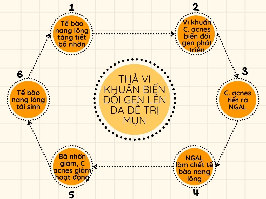 Nhà khoa học này muốn bắt vi khuẩn trên mặt bạn, biến đổi gen chúng rồi thả về chỗ cũ: Thoạt nghe tưởng cô ấy bị rảnh, nhưng hiểu lý do thì ai cũng trầm trồ- Ảnh 14. Nhà khoa học này muốn bắt vi khuẩn trên mặt bạn, biến đổi gen chúng rồi thả về chỗ cũ: Thoạt nghe tưởng cô ấy bị rảnh, nhưng hiểu lý do thì ai cũng trầm trồ- Ảnh 14.