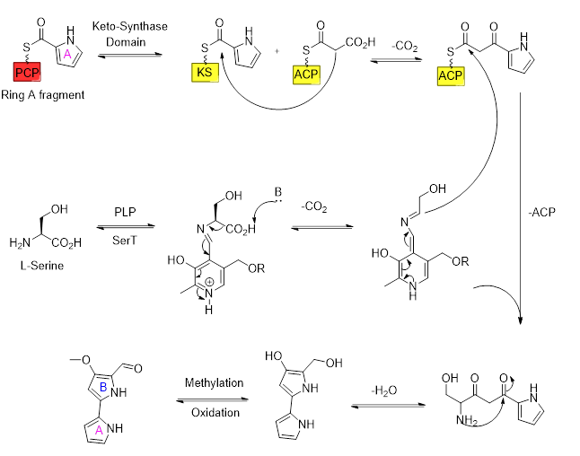 Hàn Quốc nghiên cứu thành công kỹ thuật "chỉnh sửa đơn nguyên tử" đầu tiên trên thế giới, thứ được ví như "bàn tay của Chúa"- Ảnh 3. Hàn Quốc nghiên cứu thành công kỹ thuật "chỉnh sửa đơn nguyên tử" đầu tiên trên thế giới, thứ được ví như "bàn tay của Chúa"- Ảnh 3.