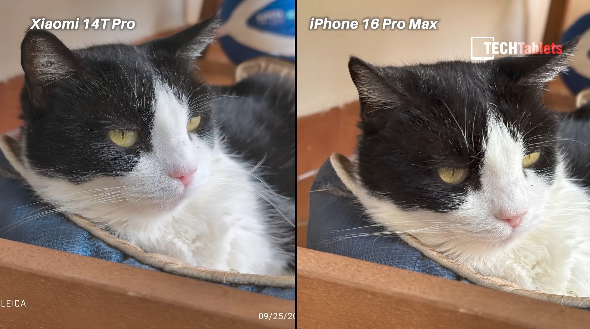 Top 5 smartphone c&oacute; camera đỉnh của ch&oacute;p đ&aacute;ng mua trong tầm gi&aacute; 15-20 triệu- Ảnh 4.