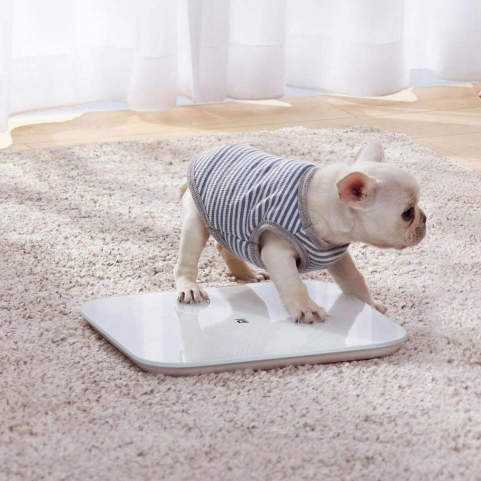 10 đồ Xiaomi bán chạy nhất tháng: Món rẻ nhất chỉ 39.000đ, có 2 mẫu điện thoại "quốc dân", nhiều đồ gia dụng hay ho- Ảnh 1. 10 đồ Xiaomi bán chạy nhất tháng: Món rẻ nhất chỉ 39.000đ, có 2 mẫu điện thoại "quốc dân", nhiều đồ gia dụng hay ho- Ảnh 1.