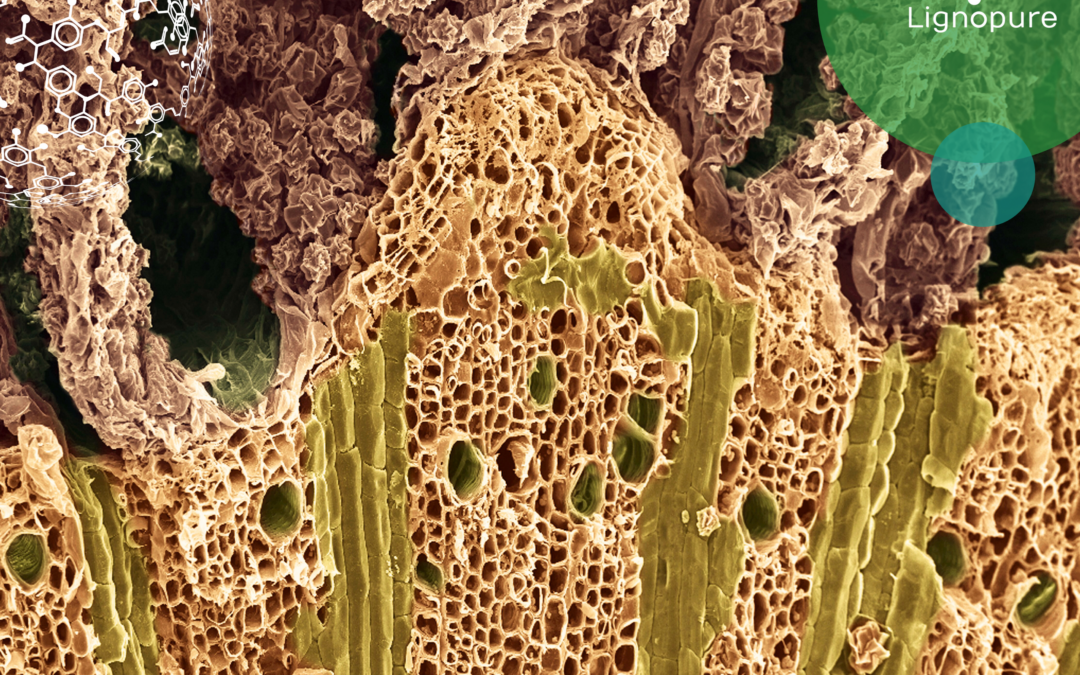 Liệu bạn có thể sạc điện thoại, từ chính thân nhiệt cơ thể mình?- Ảnh 5. Liệu bạn có thể sạc điện thoại, từ chính thân nhiệt cơ thể mình?- Ảnh 5.