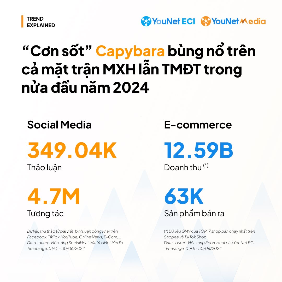 Người Việt chi tới 4,6 tỷ đồng mua &ldquo;t&uacute;i m&ugrave;&rdquo; tr&ecirc;n TikTok Shop, Shopee&hellip;; kẹp hoa sứ, Labubu, Capybara cũng kh&ocirc;ng k&eacute;m cạnh- Ảnh 4.