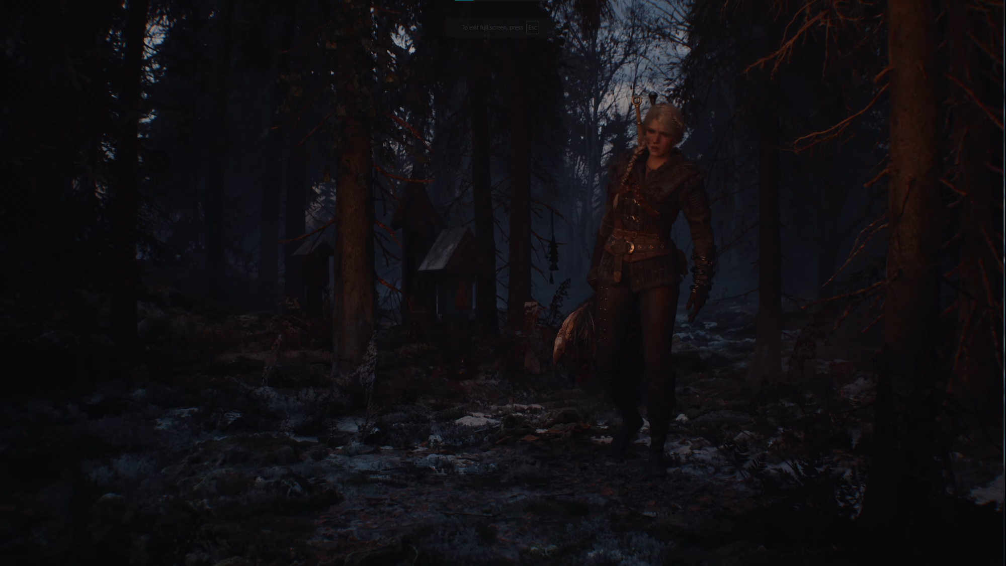 ciri back.png ciri back.png