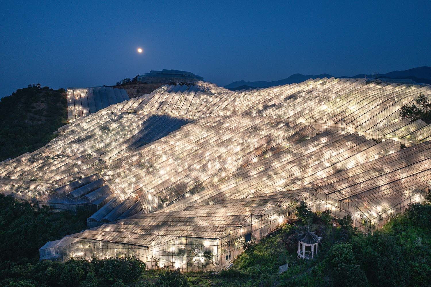 Trung Quốc năm 2024 qua ảnh: C&ocirc;ng nghệ b&ugrave;ng nổ trong mọi lĩnh vực, đưa đất nước chạm đến những &lsquo;v&ugrave;ng đất mới&rsquo; &iacute;t ai s&aacute;nh kịp- Ảnh 9.