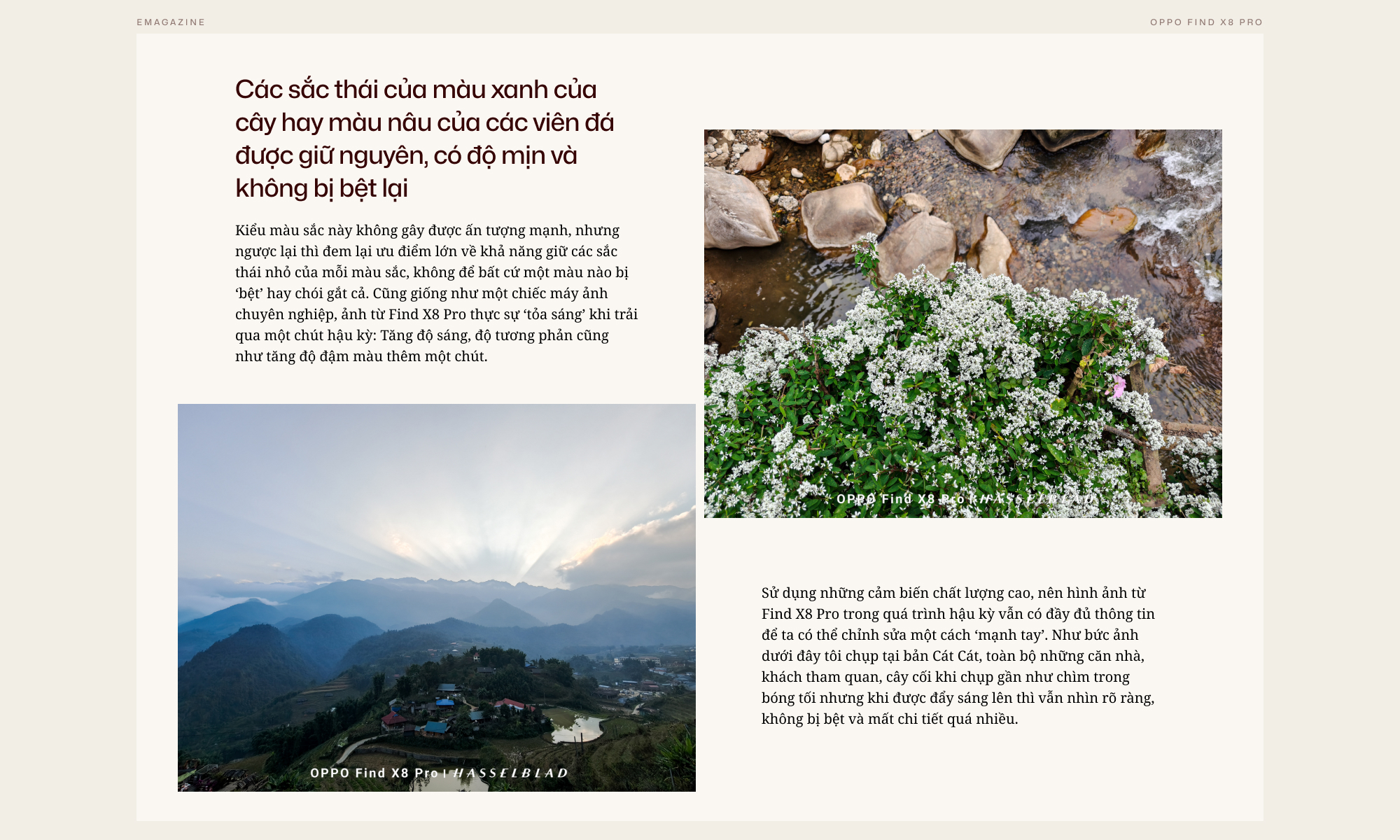 Cuộc săn mây Sapa qua lăng kính OPPO Find X8 Pro- Ảnh 11. Cuộc săn mây Sapa qua lăng kính OPPO Find X8 Pro- Ảnh 11.