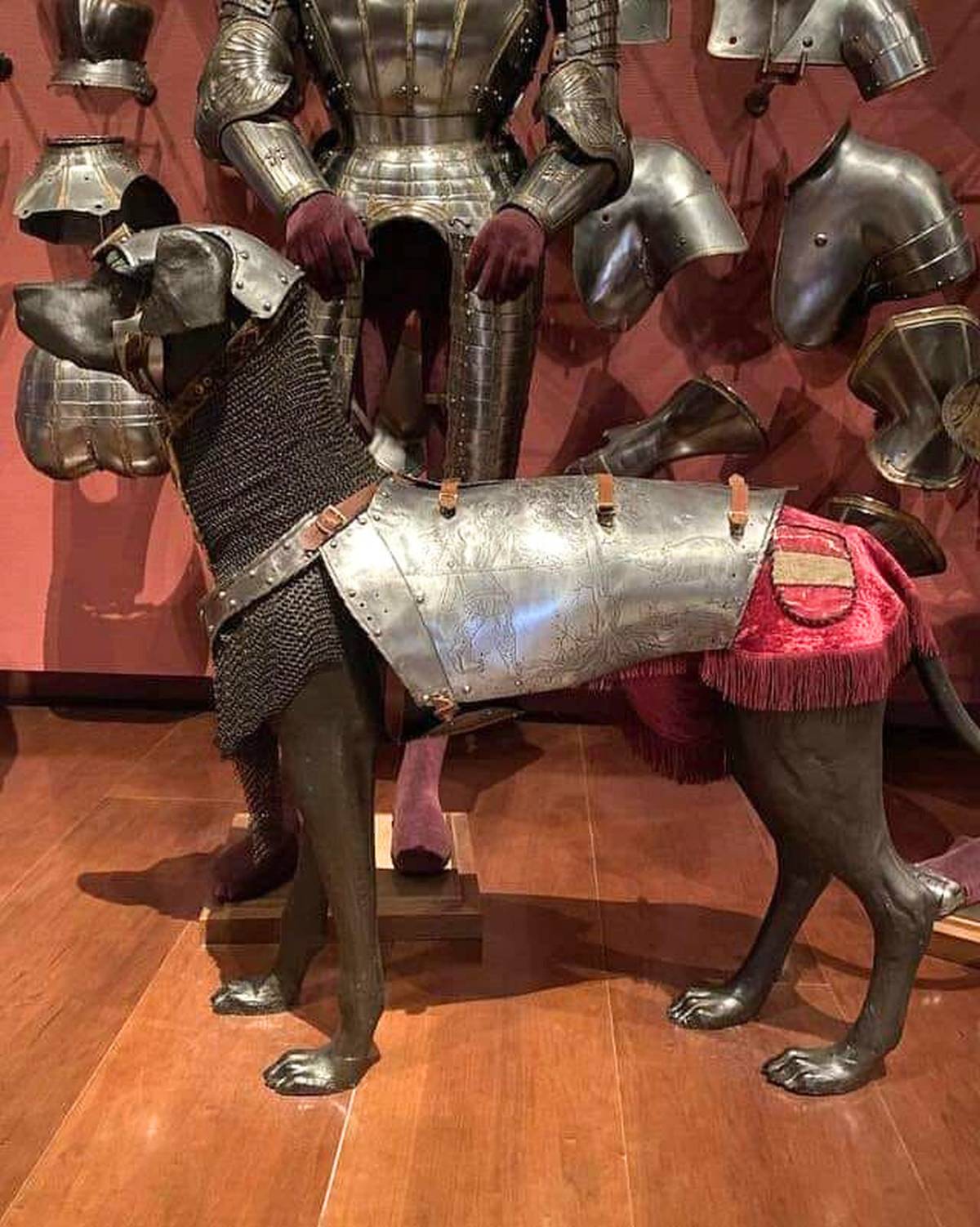 Bằng chứng cho thấy 'hiệp sĩ chó' thực sự tồn tại trong quá khứ!- Ảnh 2. Bằng chứng cho thấy 'hiệp sĩ chó' thực sự tồn tại trong quá khứ!- Ảnh 2.