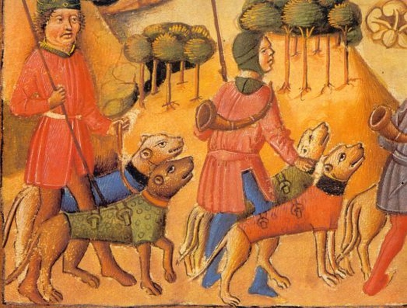 Bằng chứng cho thấy 'hiệp sĩ chó' thực sự tồn tại trong quá khứ!- Ảnh 5. Bằng chứng cho thấy 'hiệp sĩ chó' thực sự tồn tại trong quá khứ!- Ảnh 5.