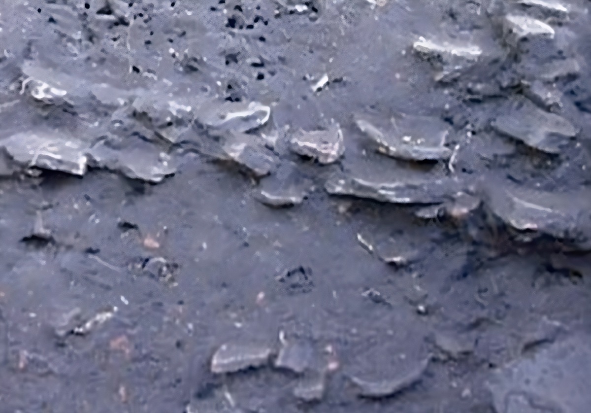 Người Amazon cổ đại đã tạo ra một loại đất có thể tự phát triển và mở rộng sau hàng nghìn năm!- Ảnh 4. Người Amazon cổ đại đã tạo ra một loại đất có thể tự phát triển và mở rộng sau hàng nghìn năm!- Ảnh 4.