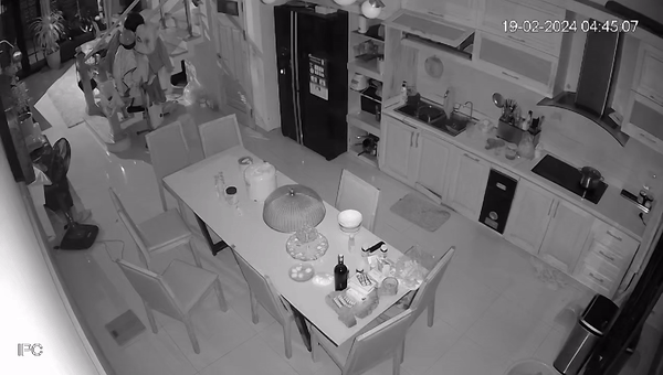 Chuột k&iacute;ch hoạt bếp từ su&yacute;t g&acirc;y ch&aacute;y nh&agrave;, chủ nh&agrave; xem camera nhận ra sai lầm &ldquo;ch&iacute; mạng&rdquo; - Ảnh 1.