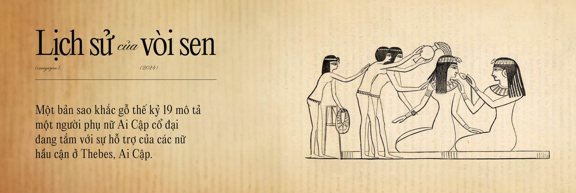 4.000 năm lịch sử của v&ograve;i sen, những cơn mưa nh&acirc;n tạo trong ng&ocirc;i nh&agrave; của lo&agrave;i người v&agrave; liệu tắm l&acirc;u c&oacute; khiến bạn bị ốm?- Ảnh 5.