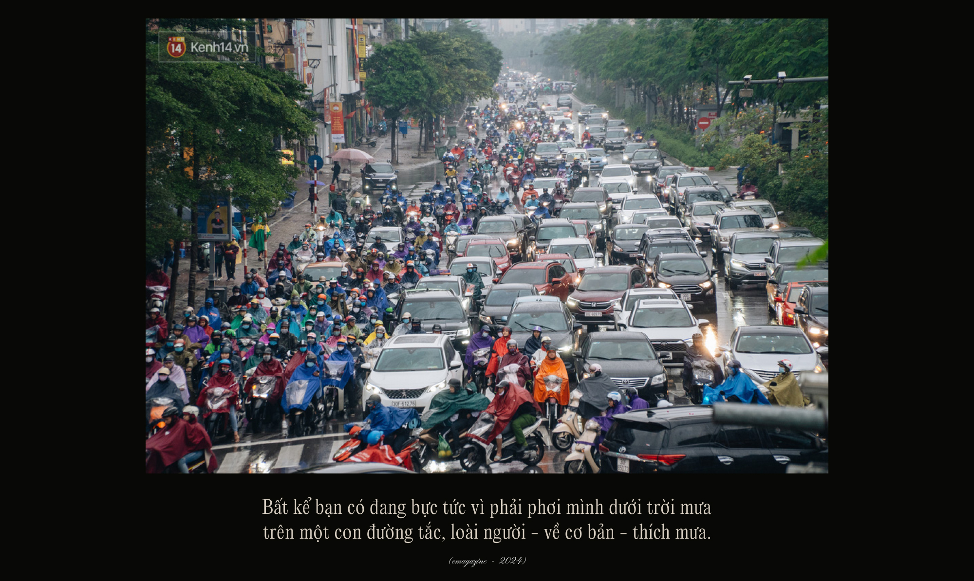 4.000 năm lịch sử của v&ograve;i sen, những cơn mưa nh&acirc;n tạo trong ng&ocirc;i nh&agrave; của lo&agrave;i người v&agrave; liệu tắm l&acirc;u c&oacute; khiến bạn bị ốm?- Ảnh 1.